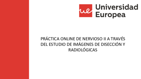 Nervioso-II-A-Online-Diseccion.pdf