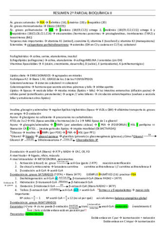 RESUMEN-2oPARCIAL-BQ2.pdf