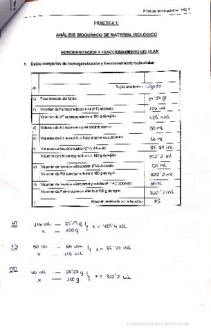 cuaderno-practicas-BQ-II-2.pdf