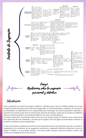 Incidente-de-Suspension.pdf