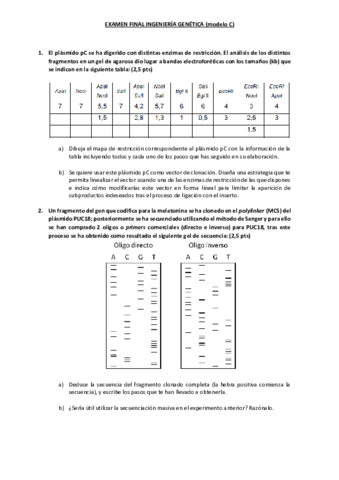 Examen-FIG-2020.pdf
