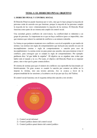 TEMA-1-El-Derecho-penal-objetivo.pdf