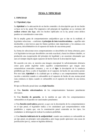 TEMA-5-Tipicidad.pdf