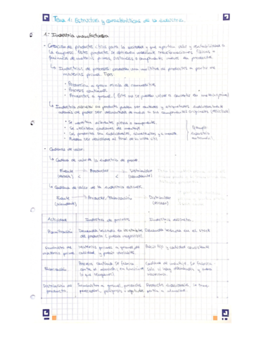 Resumen-IPP.pdf