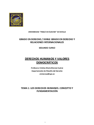Tema1DDHH.pdf