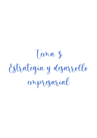 Estrategia-y-desarrollo-empresarial-tema-3.pdf