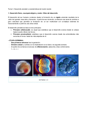 Tema-3.pdf