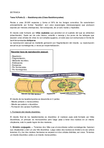 Tema-92-Botanica.pdf