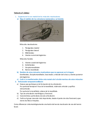 Preguntas-2o-parcial.pdf