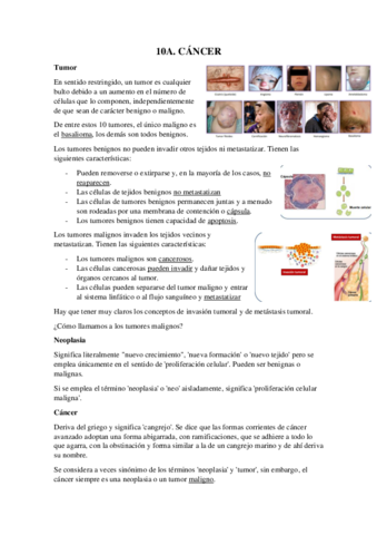 TEMA-10-CANCER-Y-FFG-TUMORES-SOLIDOS.pdf