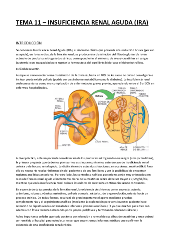 TEMA-12-INSUFICIENCIA-RENAL-AGUDA.pdf