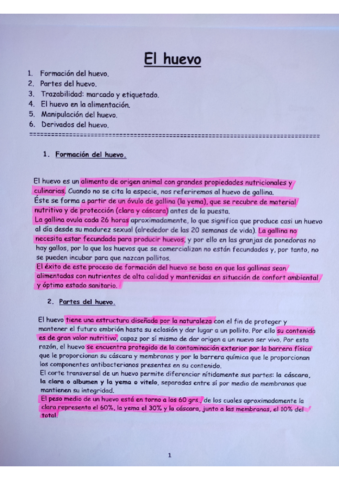 Tema 10 _ Estudio del huevo