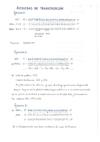 Resolucion-Actividad-transcripcion.pdf