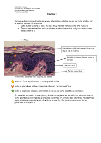 HG-Practicas2021.pdf