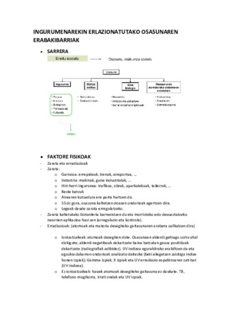 INGURUMENAREKIN-ERLAZIONATUTAKO-OSASUNAREN-ERABAKIBARRIAK.pdf