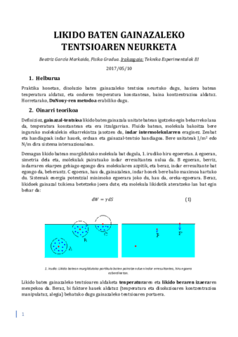 Beatriz-Garcia-Markaida-Gainazaleko-tentsioa.pdf