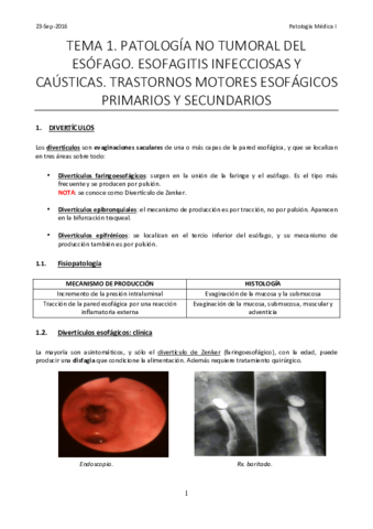 Tema 1. Patología no tumoral del esófago.pdf