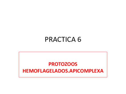 Practica-6-.pdf