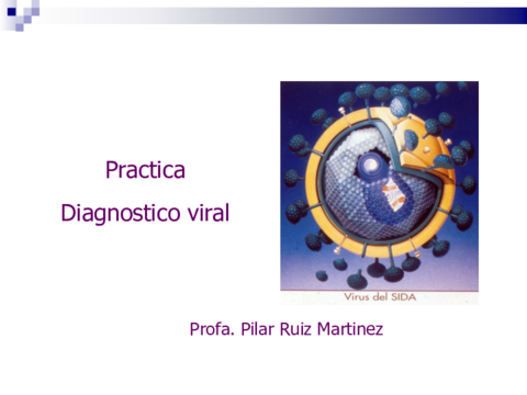 Practica-Virus2018-2019.pdf