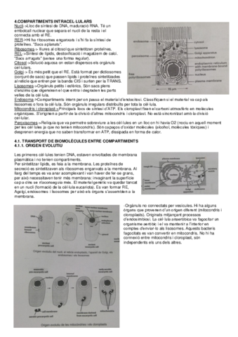 Tema-4-Cellular.pdf