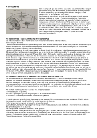 Tema-7-Cellular.pdf