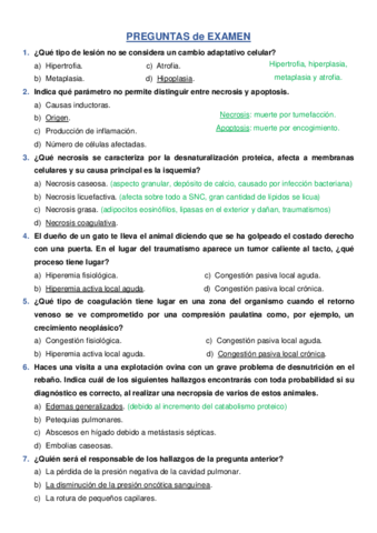 PRIMER-PARCIAL-APG-.pdf