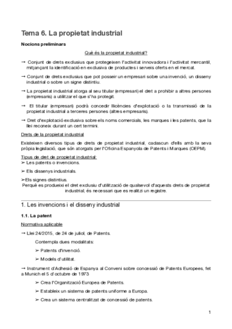 TEMA-6-DRET-MERCANTIL.pdf