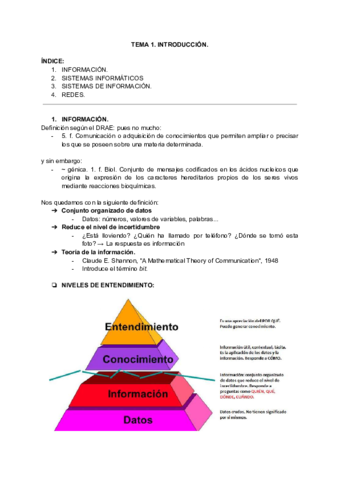 TEMA-1.pdf