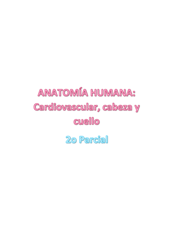 Cabeza-cuello-organos-sentidos-2o-parcial.pdf