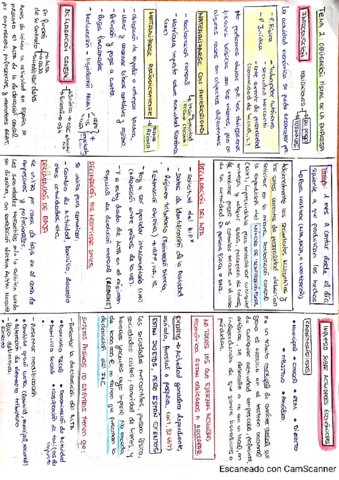 Miniresumen-Tema-2-Derecho-tributario-2021-sin-apartado-del-IVA-IS-IRPF.pdf