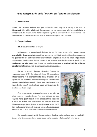 Tema-7-FV.pdf