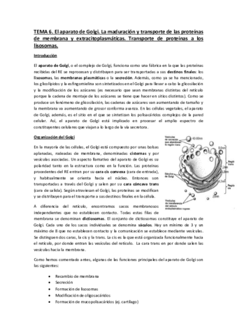 Tema-61.pdf
