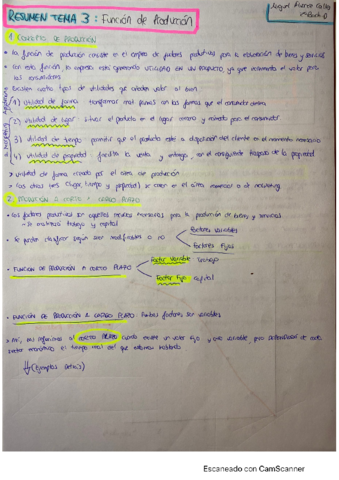 RESUMEN-TEMA-3-ECONOMIA-Miguel.pdf