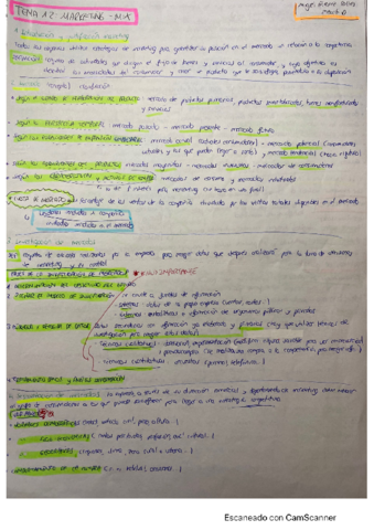 TEMA-12-ECONOMIA-Miguel.pdf