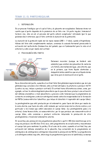 REPRO.pdf