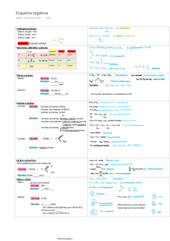 Esquema-organica.pdf