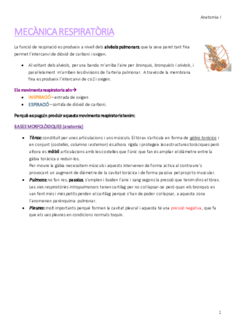 MECÀNICA RESPIRATÒRIA