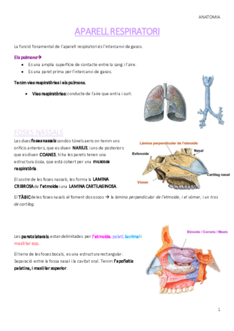 APARELL-RESPIRATORI.pdf