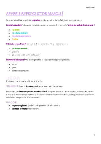 APARELL-REPRODUCTOR-MASCULI.pdf