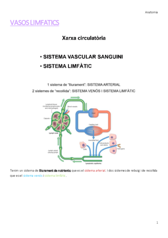 VASOS-LIMFATICS.pdf