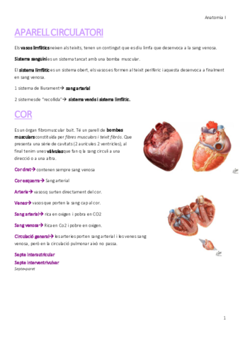 APARELL-CIRCULATORI.pdf