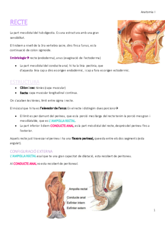 RECTE_APARELL DIGESTIU