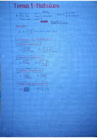 1. Álgebra.pdf