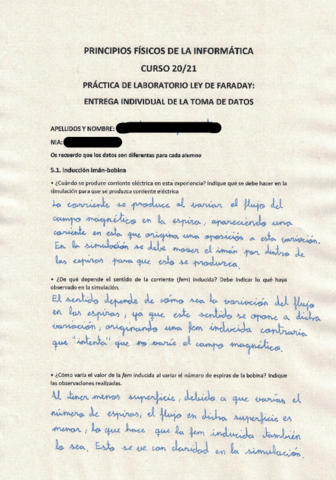 Practica-Faraday.pdf