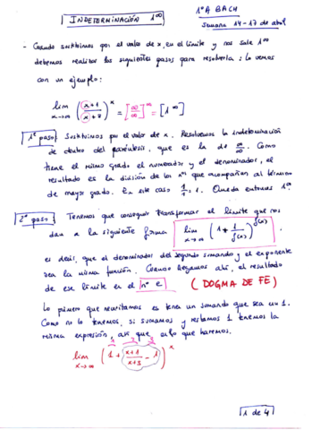 Indeterminacion-1infinity.pdf