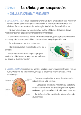 Estandar-1.pdf