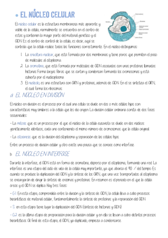 Estandar-3.pdf