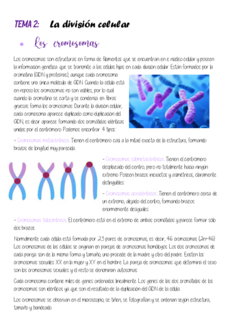 Estandar-1.pdf