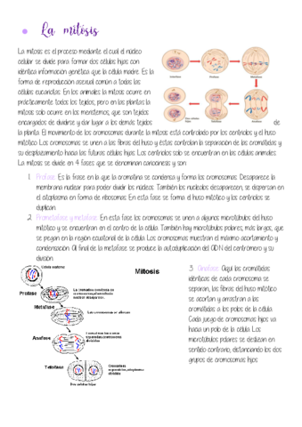 Estandar-2.pdf