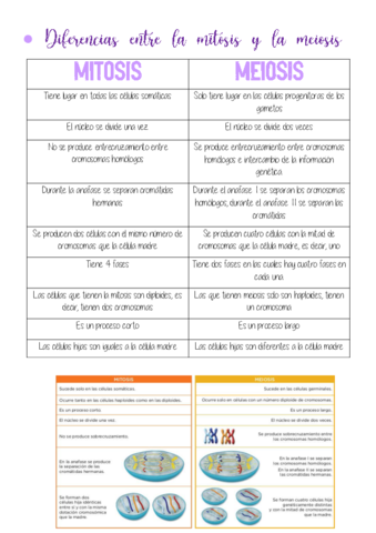 Estandar-3-.pdf